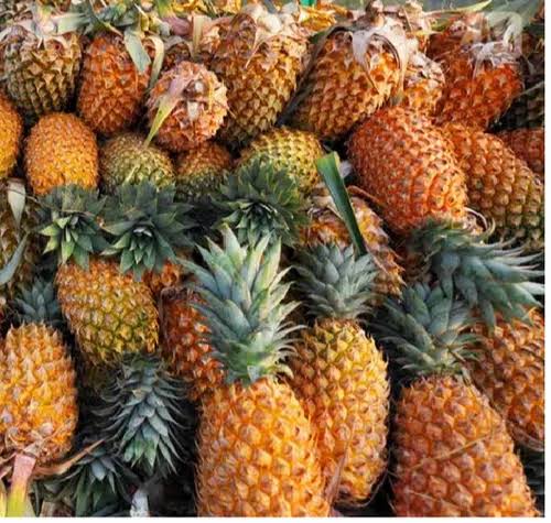 Pineapple