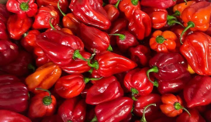 Hot pepper
