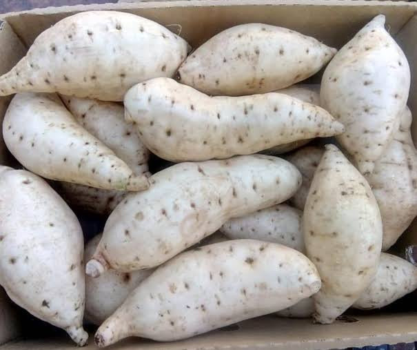 Sweet potatoes