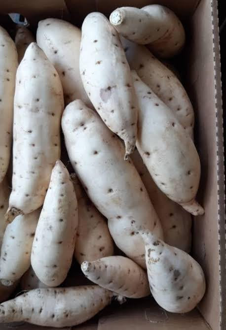 Sweet potatoes