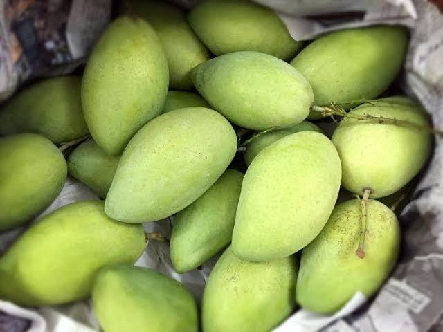 Raw mangoes