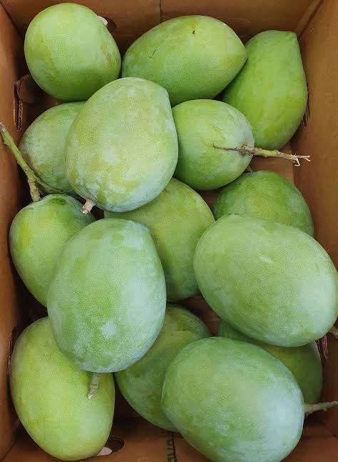 Raw mangoes