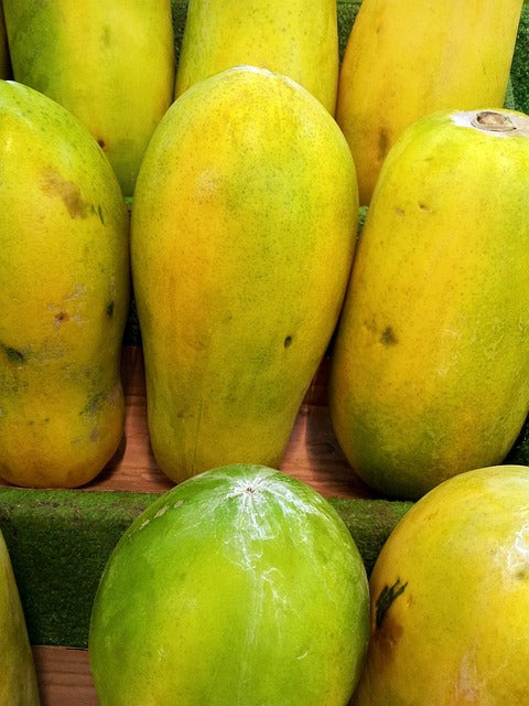 Papaya