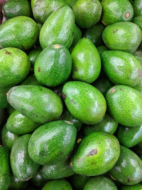 Avocado